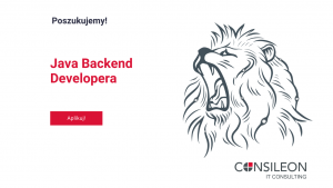 Poszukujemy! Java Backend Developera.