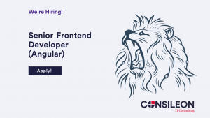 Senior Frontend Developer (Angular)